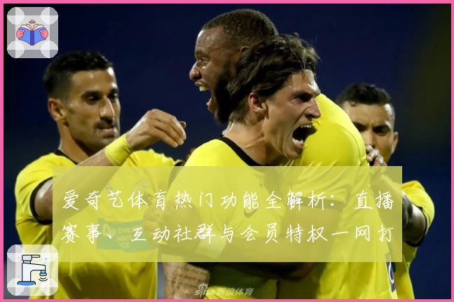 爱奇艺体育热门功能全解析：直播赛事、互动社群与会员特权一网打尽