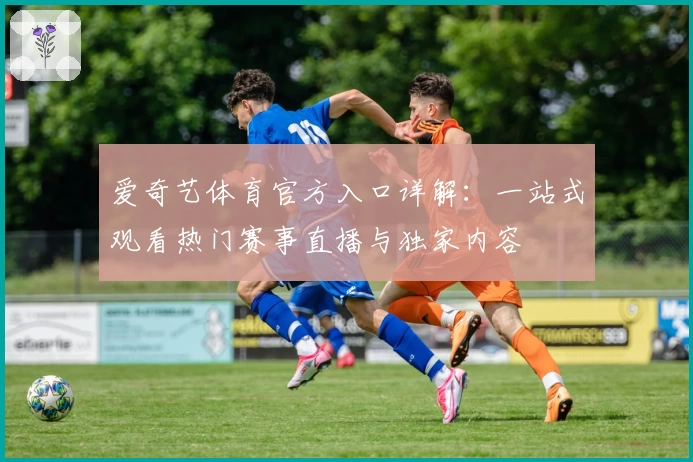 爱奇艺体育官方入口详解：一站式观看热门赛事直播与独家内容